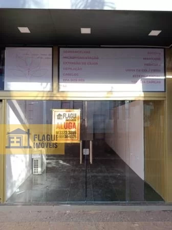 CALÇADÃO DA AV: 17, Nº 733