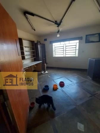 AVENIDA DOS MAÇONS - Barretos/SP