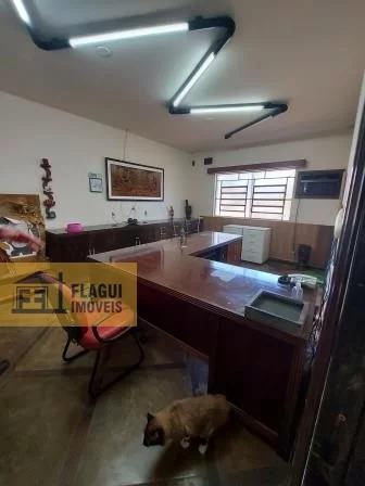 AVENIDA DOS MAÇONS - Barretos/SP