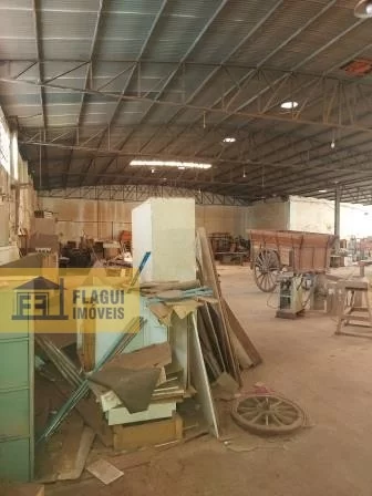 AVENIDA DOS MAÇONS - Barretos/SP