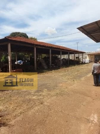 AVENIDA DOS MAÇONS - Barretos/SP