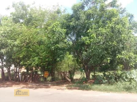 AVENIDA SOROCABA ENTRE RUAS 14X16