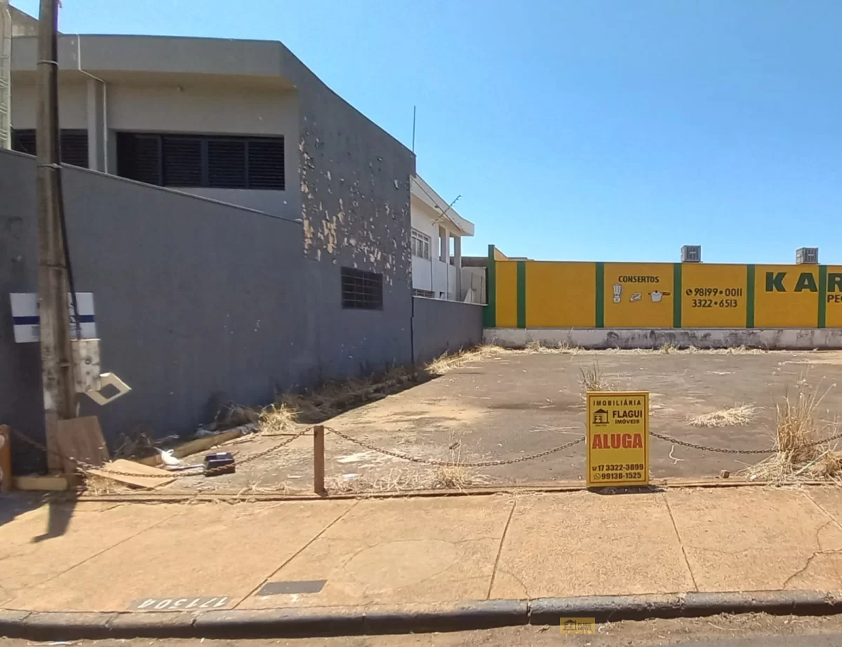 AVENIDA 15, Nº 655 ( 16 x 18 )