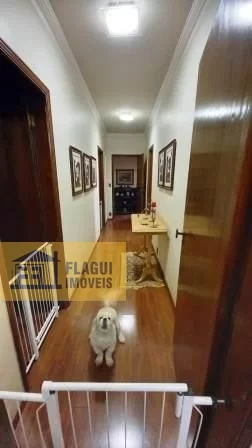 AVENIDA 19, Nº 906 - 7º ANDAR - Barretos/SP